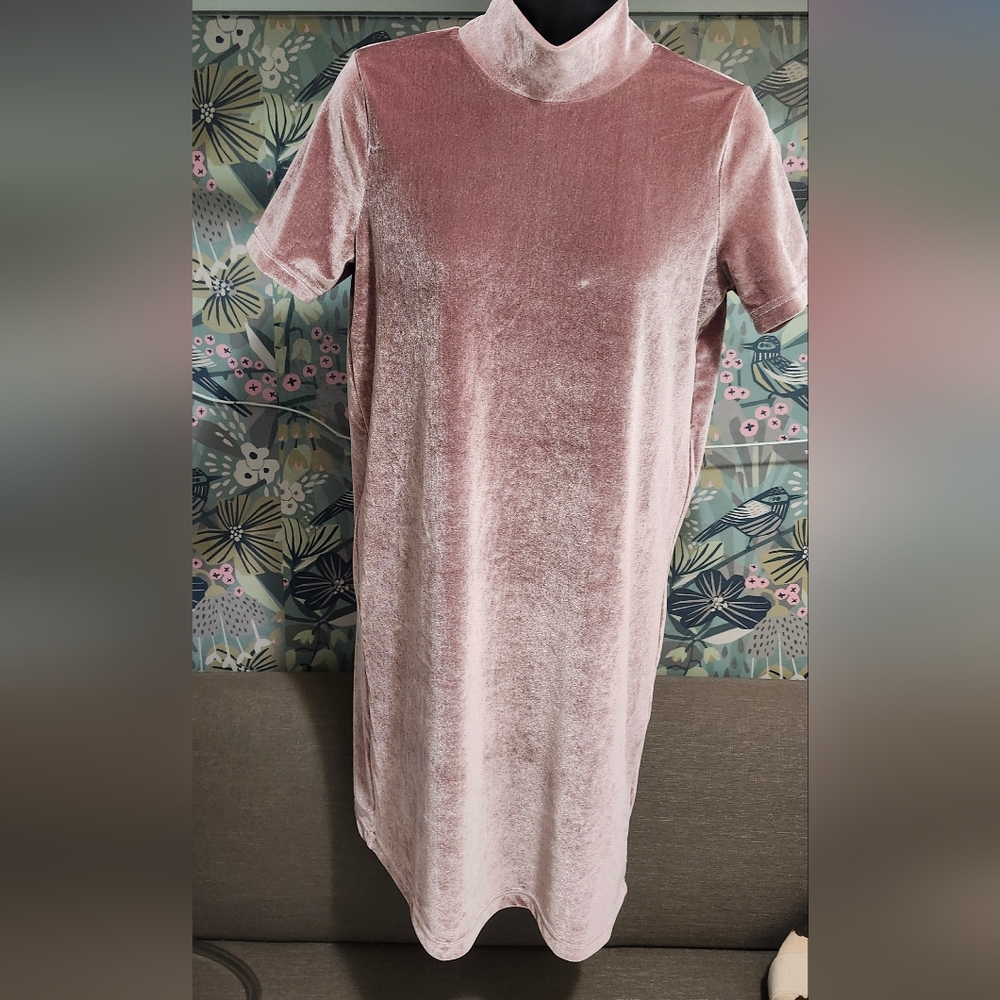 Madewell Pink Velvet Long Sleeve Dress